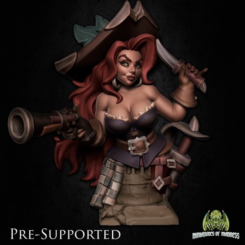 Bust] Grace The Pirate Woman [] Rogue Mercenary Assasin