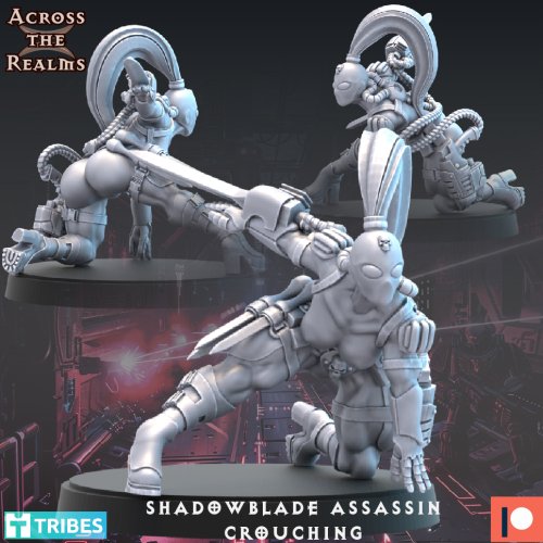 Shadowblade Assassin - Crouching